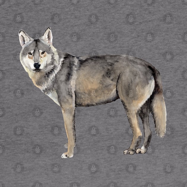 Grey Wolf by Heather Dorsch Creations